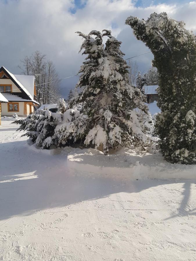 Tatrzanskie Domki Poronin Exterior photo